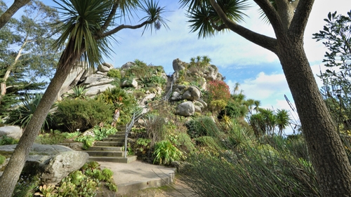 Carte Postale : Le jardin exotique et botanique de Roscoff 